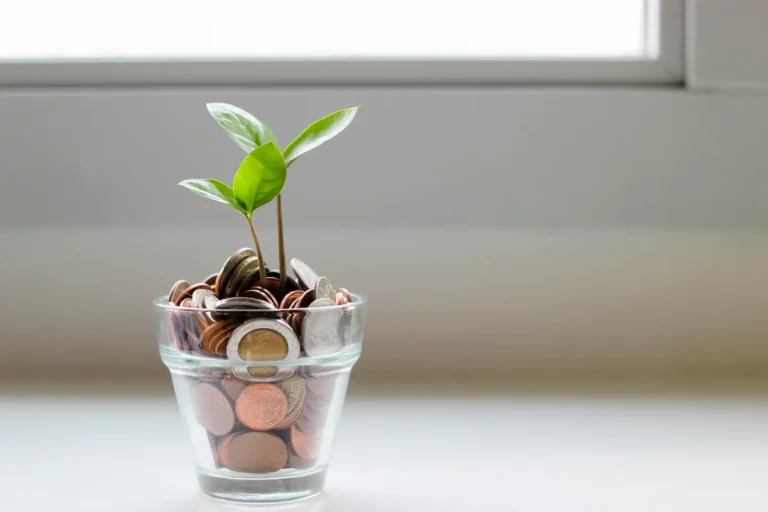Structuring Bank Accounts for Life and Business